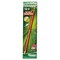 Dixon Ticonderoga Erasable Colored Pencils, 2.6 mm, 2B (#1), Carmine Red Lead, Carmine Red Barrel, Dozen